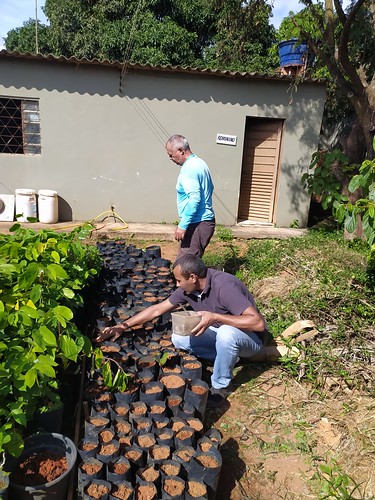 Participe da 3ª edição da Ação de Plantio de Mudas em Santa Maria