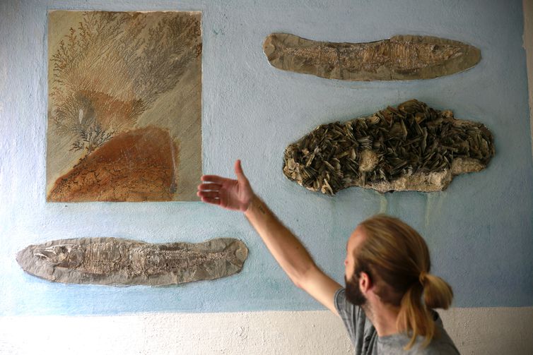 O Sítio Roberto Burle Marx, em Barra de Guaratiba, na zona oeste do Rio de Janeiro, se prepara para a nova fase da candidatura do local a Patrimônio Mundial pela Unesco.