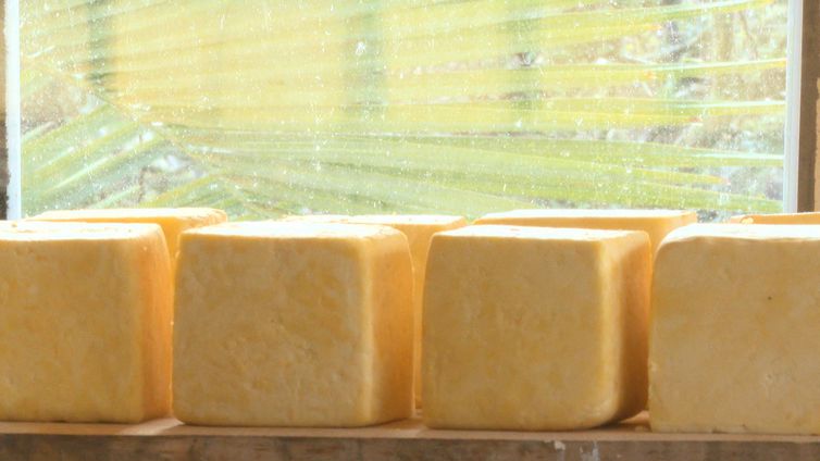 Sabores do Frio Caminhos da Reportagem