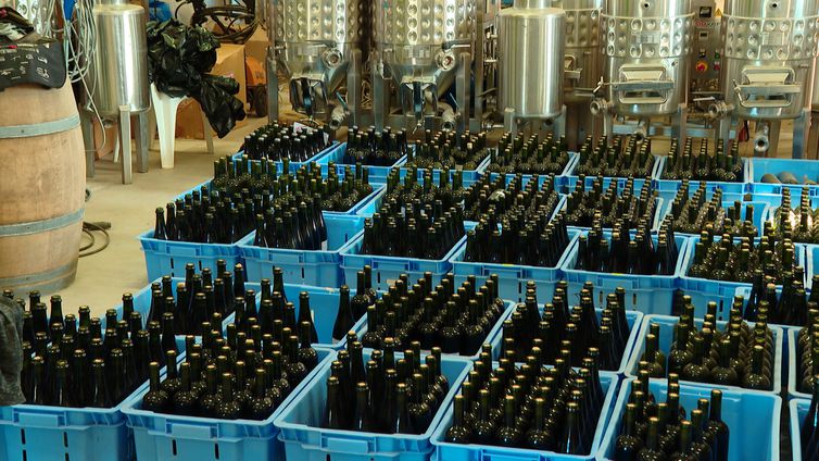 CAMPANHA GAÚCHA: O VINHO DOS PAMPAS