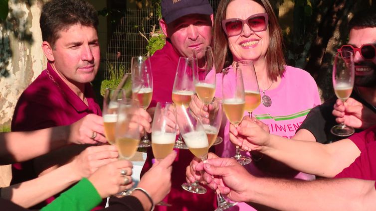 CAMPANHA GAÚCHA: O VINHO DOS PAMPAS