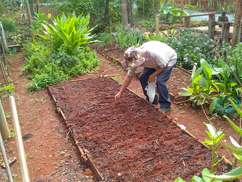 Viveiro bem-cuidado, abrigos de ônibus e PEC limpos no Park Way