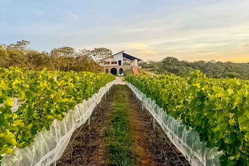Cercada por beleza natural, Brasília entra na rota do turismo rural