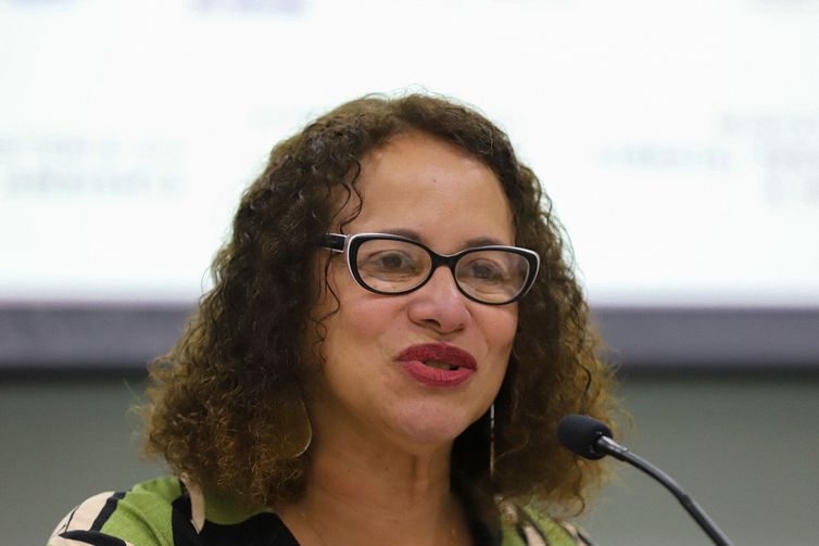 Brasília (DF), 22/05/2023 - Ministra da Ciência, Tecnologia e Inovação, Luciana Santos no lançamento do Plano Decenal para a Ciência Antártica do Brasil. Foto: Wilson Dias/Agência Brasil