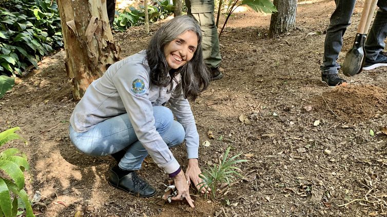 Rio de Janeiro (RJ) - Parque Nacional da Tijuca completa 62 anos. Foto: Marcelo Rheingantz/PNT