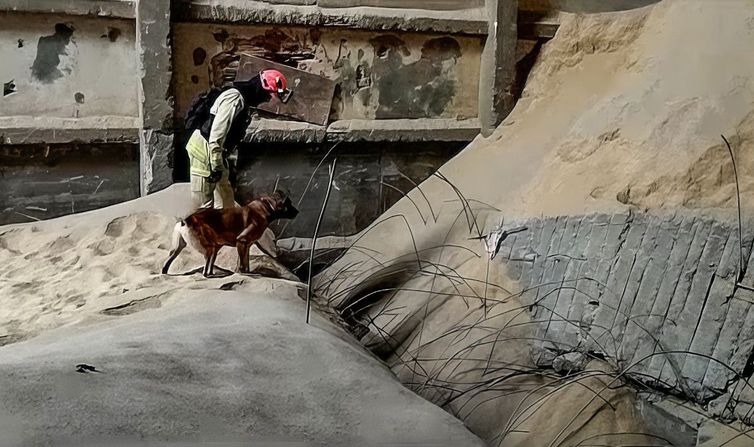 Paraná, 28/07/2023, Silo de secagem de grãos da C.Vale, cooperativa agroindustrial de Palotina, explodiu, no oeste do Paraná, de acordo com o Corpo de Bombeiros. Foto: Frame/Corpo de Bombeiros Paraná