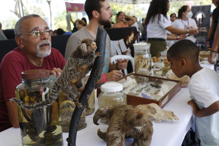Rio de Janeiro (RJ), 03/09/2023 - Festival Museu Nacional Vive promove atividades educativas e mostra etapas da reconstrução, cinco anos após o incêndio, na Quinta da Boa Vista. Foto: Fernando Frazão/Agência Brasil