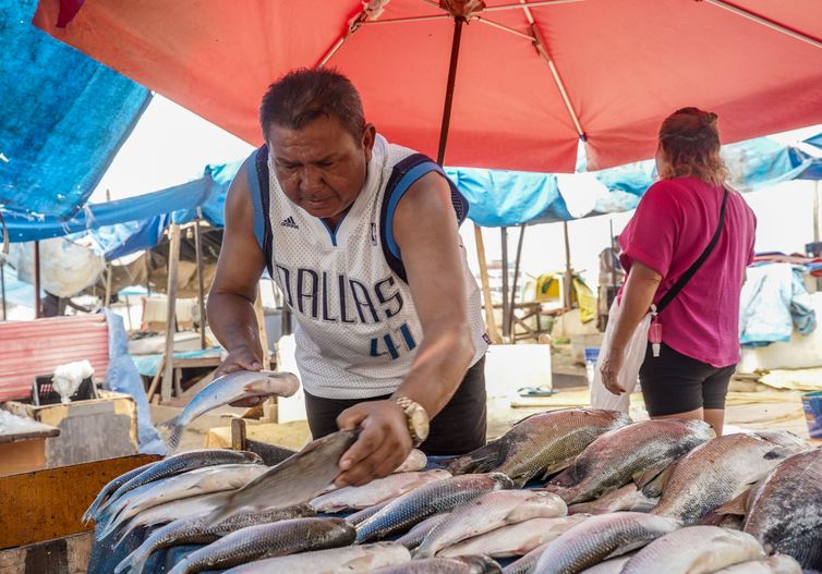Manaus (AM), 20/11/2023,  Marcos César Antonio, o Marcos do Pescado, comerciante, vende
peixes na região do Porto de Manaus. Manaus sofrre com a maior seca em 121 anos. Foto: Rafa Neddermeyer/Agência Brasil