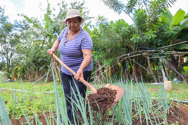 28/01/2024 - Combate à dengue ajuda produtores rurais do DF com matéria-prima