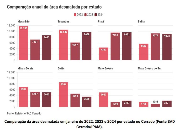 Cerrado perdeu em janeiro área equivalente ao munícipio de Maceió. Fonte: SAD Cerrado/IPAM
