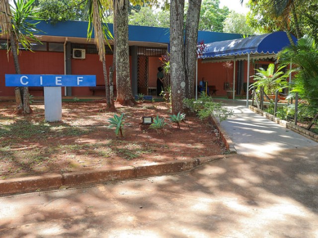 24/04/2024 - Centro Integrado de Educação Física oferece vagas para quatro modalidades