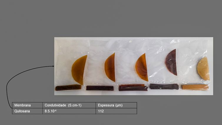 Brasília (DF) 24/05/2024 - Membrana Quitosana no laboratório de Mecânica da Fratura e Fadiga da Universidade Federal do Ceará (UFC).
Foto: LAMEFF/UFC