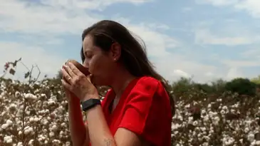 Frame/TV Brasil Rio de Janeiro (RJ), 02/10/2024 - Escritor Eduardo Bueno no programa Caminhos da Reportagem, sobre produção de algodão. Frame: TV Brasil/Divulgação
