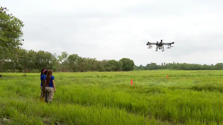 Frame/TV Brasil Rio de Janeiro (RJ), 02/10/2024 - Escritor Eduardo Bueno no programa Caminhos da Reportagem, sobre produção de algodão. Frame: TV Brasil/Divulgação