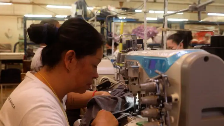 Frame/TV Brasil Rio de Janeiro (RJ), 02/10/2024 - Escritor Eduardo Bueno no programa Caminhos da Reportagem, sobre produção de algodão. Frame: TV Brasil/Divulgação