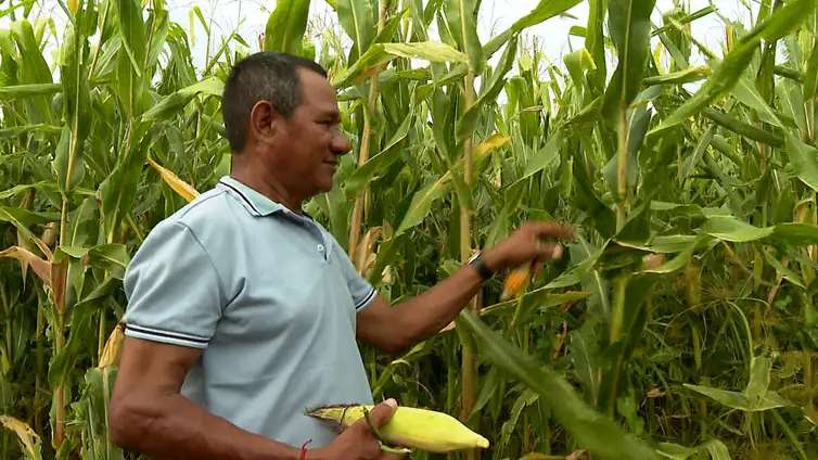 Frame/TV Brasil Rio de Janeiro (RJ), 02/10/2024 - Escritor Eduardo Bueno no programa Caminhos da Reportagem, sobre produção de algodão. Frame: TV Brasil/Divulgação