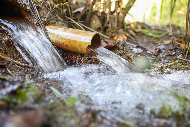 22/03/2025 - Projeto Produtor de Água no Pipiripau incentiva conservação de água