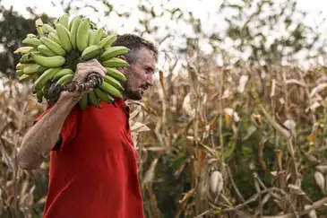 Marcelo Camargo/Agência Brasil Mauriti (CE), 26/05/2025 - O pequeno agricultor da comunidade Canabravinha, Albino Viana, diz que sofre com a escassez de água e espera poder irrigar sua produção com as águas da transposição do rio São Francisco. Foto: Marcelo Camargo/Agência Brasil